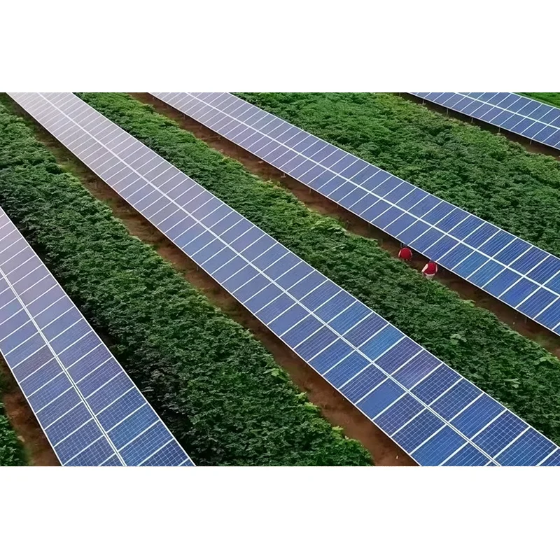 ခေတ်သစ် PV ပရောဂျက်များအတွက် Tilted Single-Axis Solar Tracker System ကို အဘယ်အရာက ထိရောက်စေသနည်း။